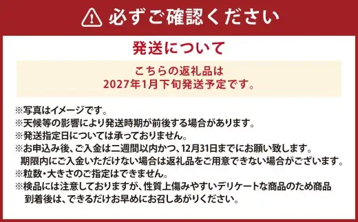 【4か月連続定期便】『まるでフルーツのような特選ミニトマト』 約2.5kg×4回 合計約10kg  特別な定期便 熊本県産 【2027年1月下旬発送開始】 野菜 やさい トマト とまと ミニトマト