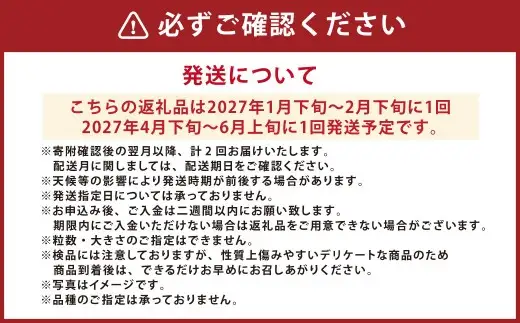 【年2回定期便】『まるで果物の王様！贅沢メロン』 2玉セット×2回 合計4玉  2色楽しめる特別な定期便 【2027年1月下旬発送開始】熊本県産 フルーツ くだもの 果物 メロン 果実 果肉 おやつ 国産