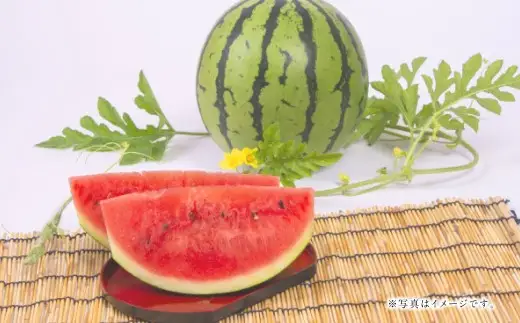まるで火の国くまもとの太陽のような大玉スイカ1玉（熊本県産） 【2027年4月下旬発送開始】 すいか 西瓜 スイカ くだもの フルーツ 甘い 果物 夏 国産 常温