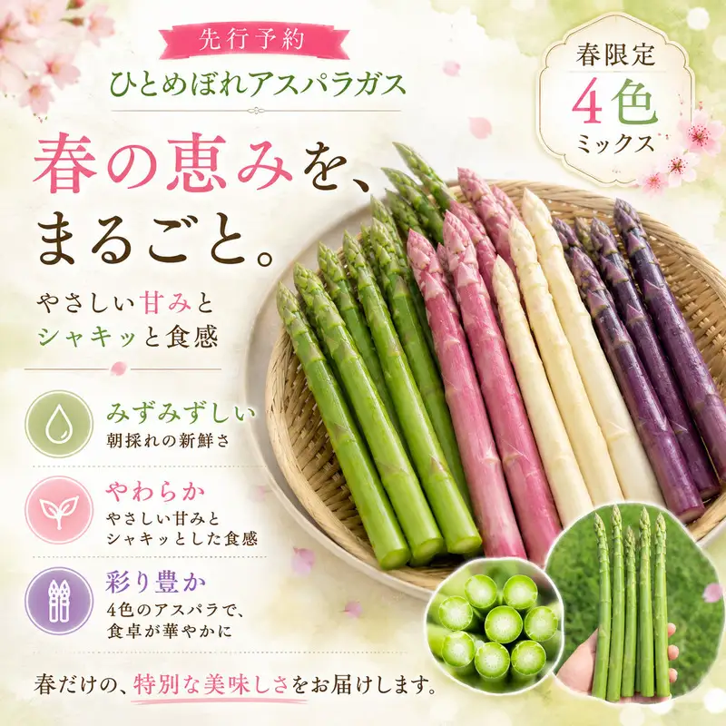 【先行予約】春限定 ひとめぼれアスパラガス 3kg 4色 食べ比べ 産地直送 農家直送 野菜 新鮮 旬 アスパラ 春野菜 サラダ バーベキュー BBQ ファミリー 大容量 ギフト