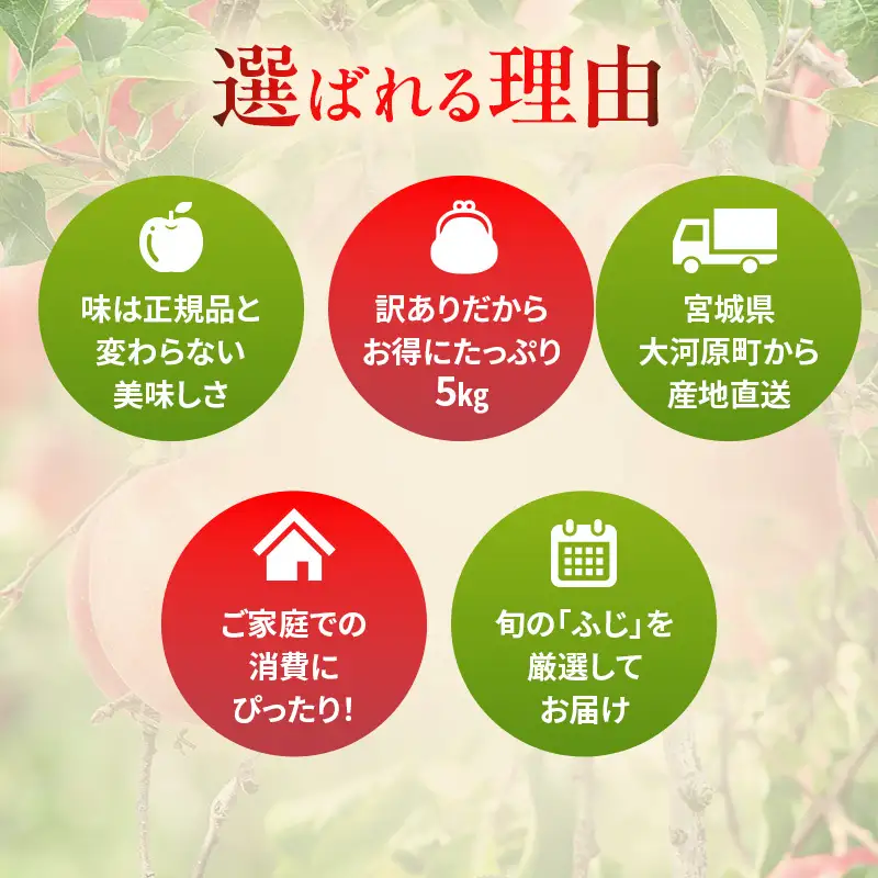 りんご 訳あり 3kg さんふじ りんご