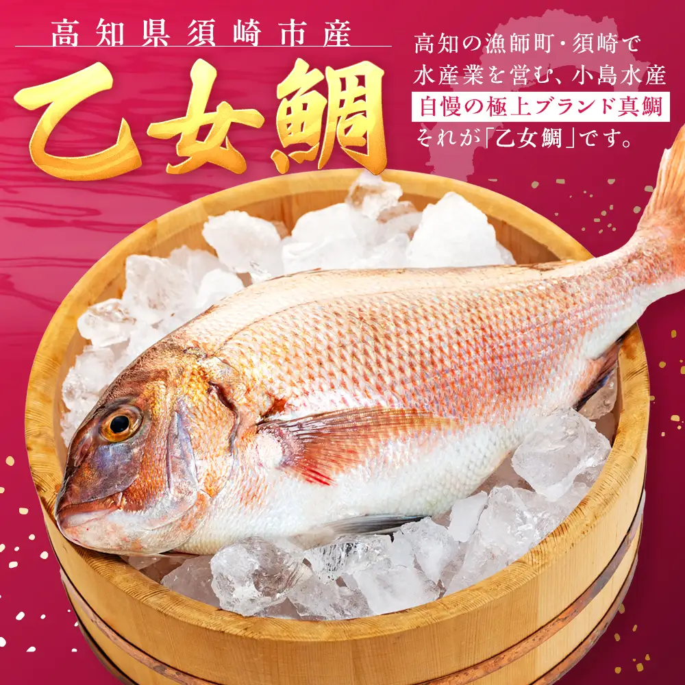 乙女 鯛 2尾 ロイン 原魚 約 2kg 冷凍 ブランド 真鯛 高知県 須崎市 ks049