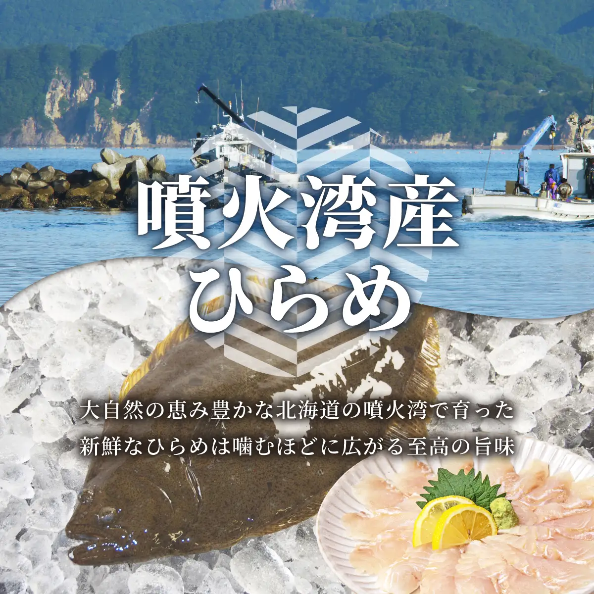 北海道 噴火湾産 ひらめの刺身 500g 【ru-0927】 