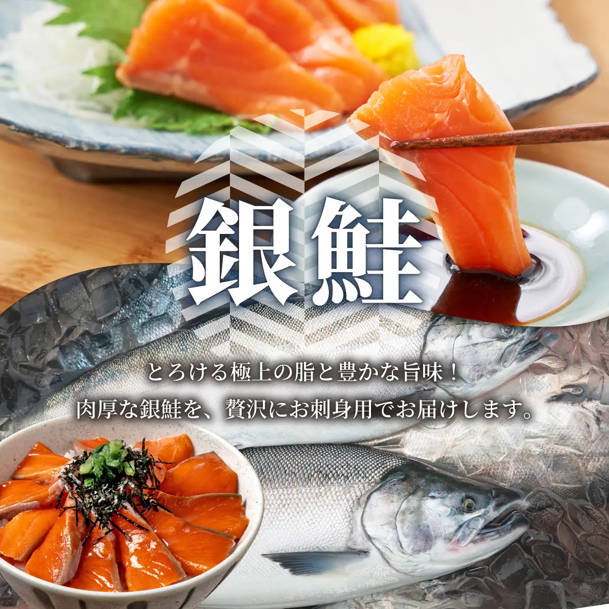銀鮭の刺身 500g 【ru-0928】 