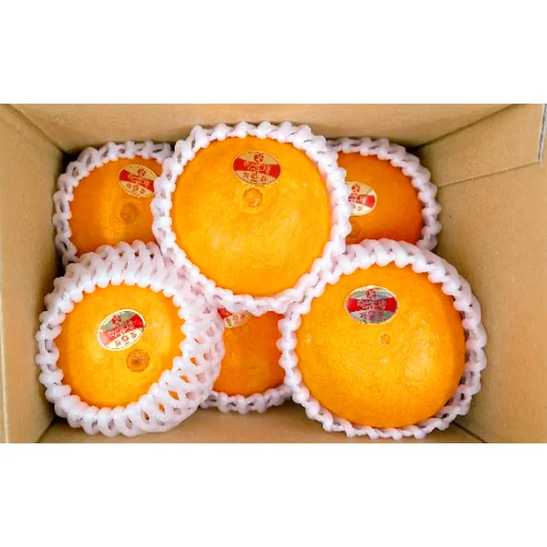 紅まどんな 秀品 Lサイズ 6個 果物 フルーツ 柑橘 柑橘類 国産 愛媛