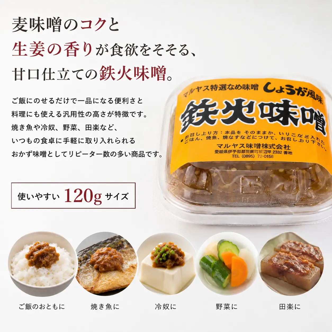 鉄火みそ120g 4パック 味噌 おかず味噌 はだか麦 生姜 しょうが 国産 甘口 老舗 発酵食品 健康 国産 無添加 老舗 人気 おすすめ 調味料 田楽 発酵食品 ギフト 贈答 愛媛県 愛南町 マルヤス味噌
