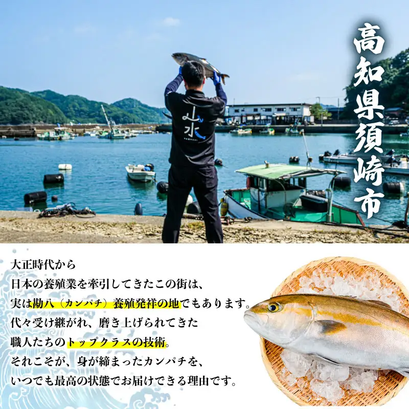 【カンパチ】カンパチまるごと1匹（セミドレス）
