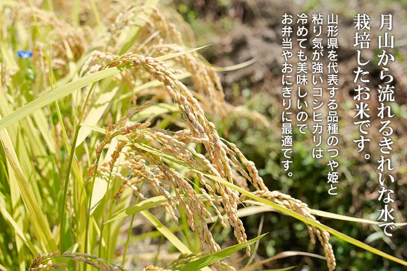 特別栽培米 コシヒカリ・つや姫 精米 各5kg (計10kg) 令和8年産 新米 山形県鶴岡市産　K-877  黒川まるいし農場