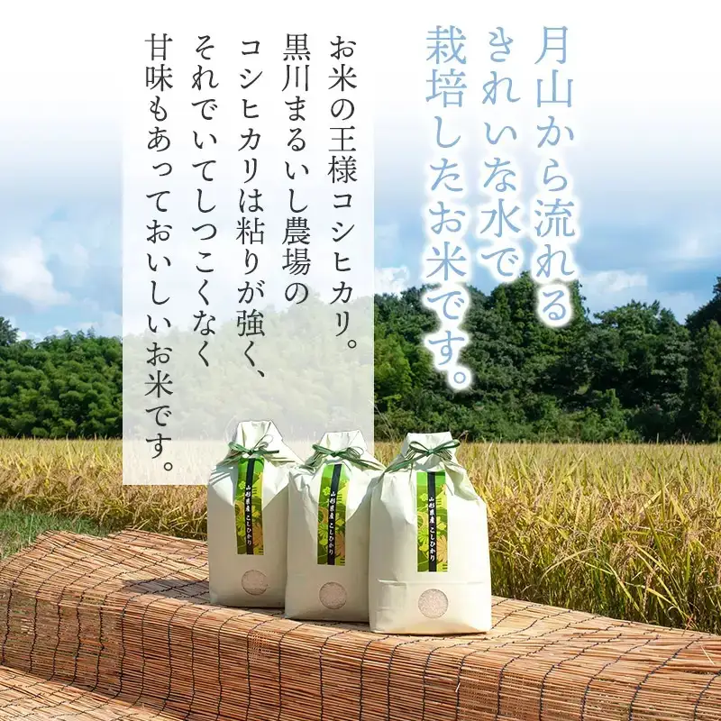 特別栽培米 コシヒカリ 2kg　令和8年産 新米 山形県鶴岡市産　K-816 黒川まるいし農場
