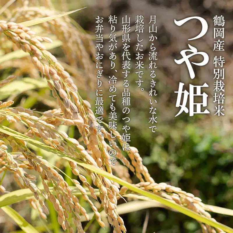 特別栽培米 つや姫 2kg 令和8年産 山形県鶴岡市産　K-818 黒川まるいし農場