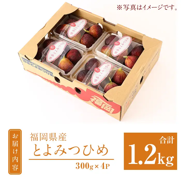 福岡県産 とよみつ姫(計1.2kg・300g×4P) いちじく 無花果 イチジク いちぢく とよみつひめ 果物 くだもの フルーツ 青果 青果物 生 旬 おやつ デザート あまい 完熟 4パック 食物繊維 美容 冷蔵【錦屋商事】as48-002
