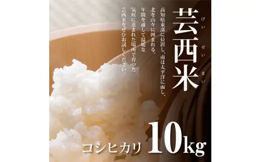 先行受付 令和8年産 新米 コシヒカリ 10kg 3ヶ月定期便 芸西米