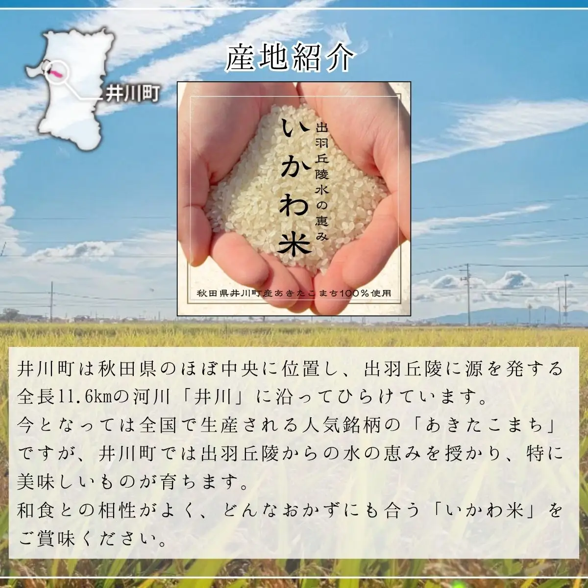 【2か月定期便】あきたこまち 5kg 令和7年産 白米 あきたこまち