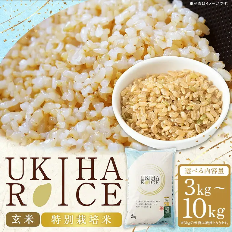 【ふるさと納税】玄米 ひのひかり UKIHA RICE 10kg（5kg×2袋） 特別栽培米 ヒノヒカリ 令和7年産 米 こめ ご飯 コメ ごはん ヘルシー 送料無料 国産 国産米 福岡 返礼品 お弁当 家庭用 ギフト プレゼント 仕送り お取り寄せ うきは市 株式会社みずほファーム