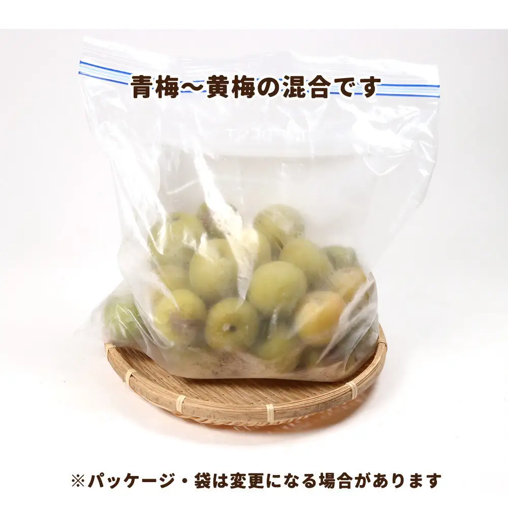 家庭用 冷凍梅 約2kg 紀州 南高梅 青梅 黄梅 完熟梅 訳あり［IKE332］