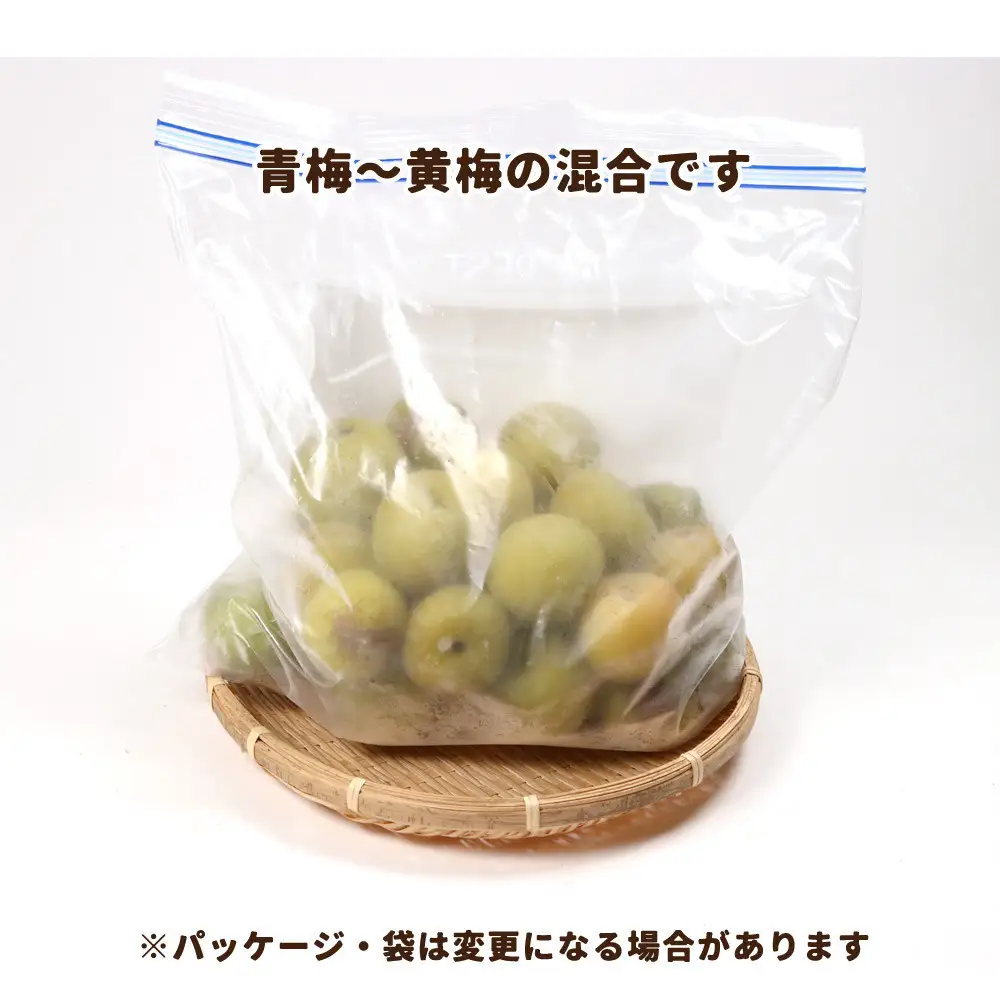 家庭用 冷凍梅 約2kg 紀州 南高梅 青梅 黄梅 完熟梅 訳あり［IKE332］