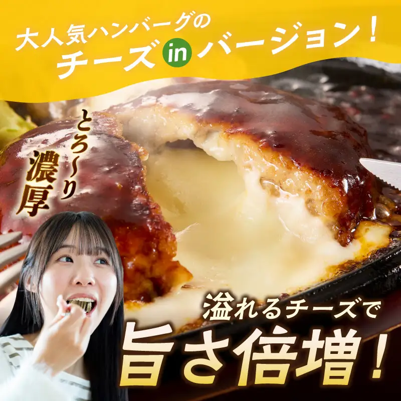 5種のチーズ入り鉄板焼ハンバーグ(デミグラスソース)16個【A6-029】