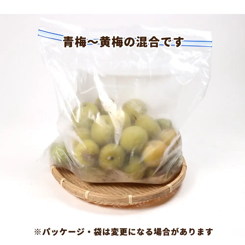 家庭用 冷凍梅 約3kg 紀州 南高梅 青梅 黄梅 完熟梅 訳あり［IKE333］
