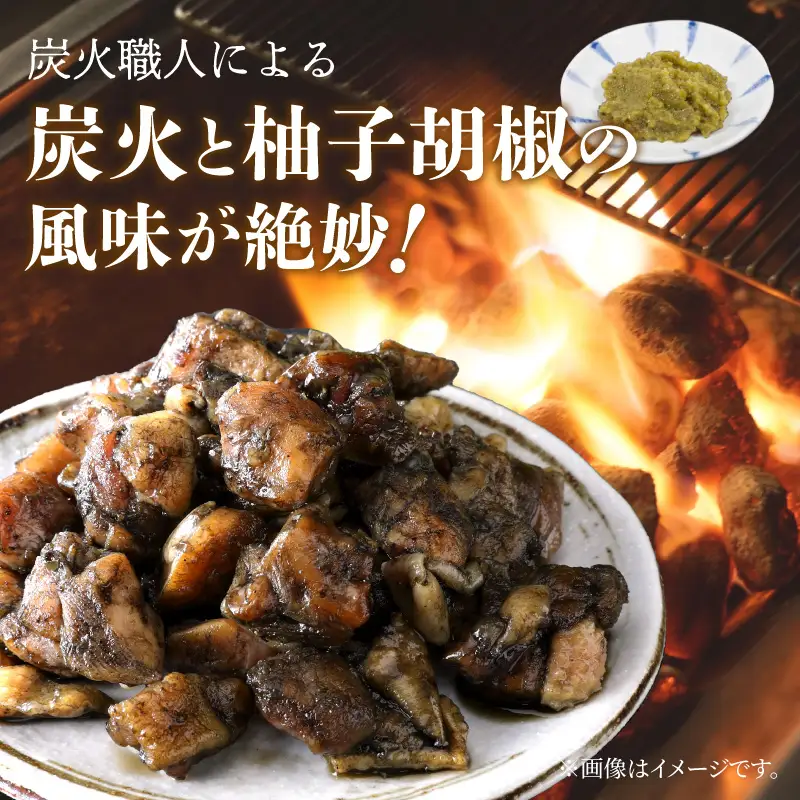 飯塚産ほなみ赤鶏炭火焼【A5-539】