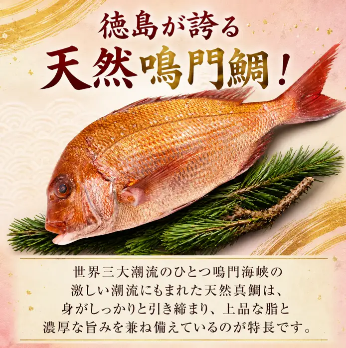 鳴門鯛 鯛 刺身 《 柵 1尾 》 1kgサイズ