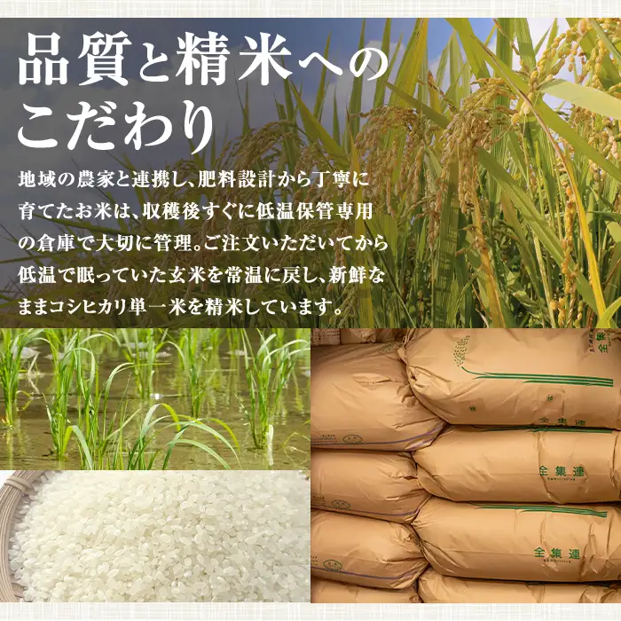 【定期便 計3回】令和8年産 新米 鹿児島県産 コシヒカリ 計15kg 5kg×3回 国産 精米 白米 ごはん【山下商店】D95001