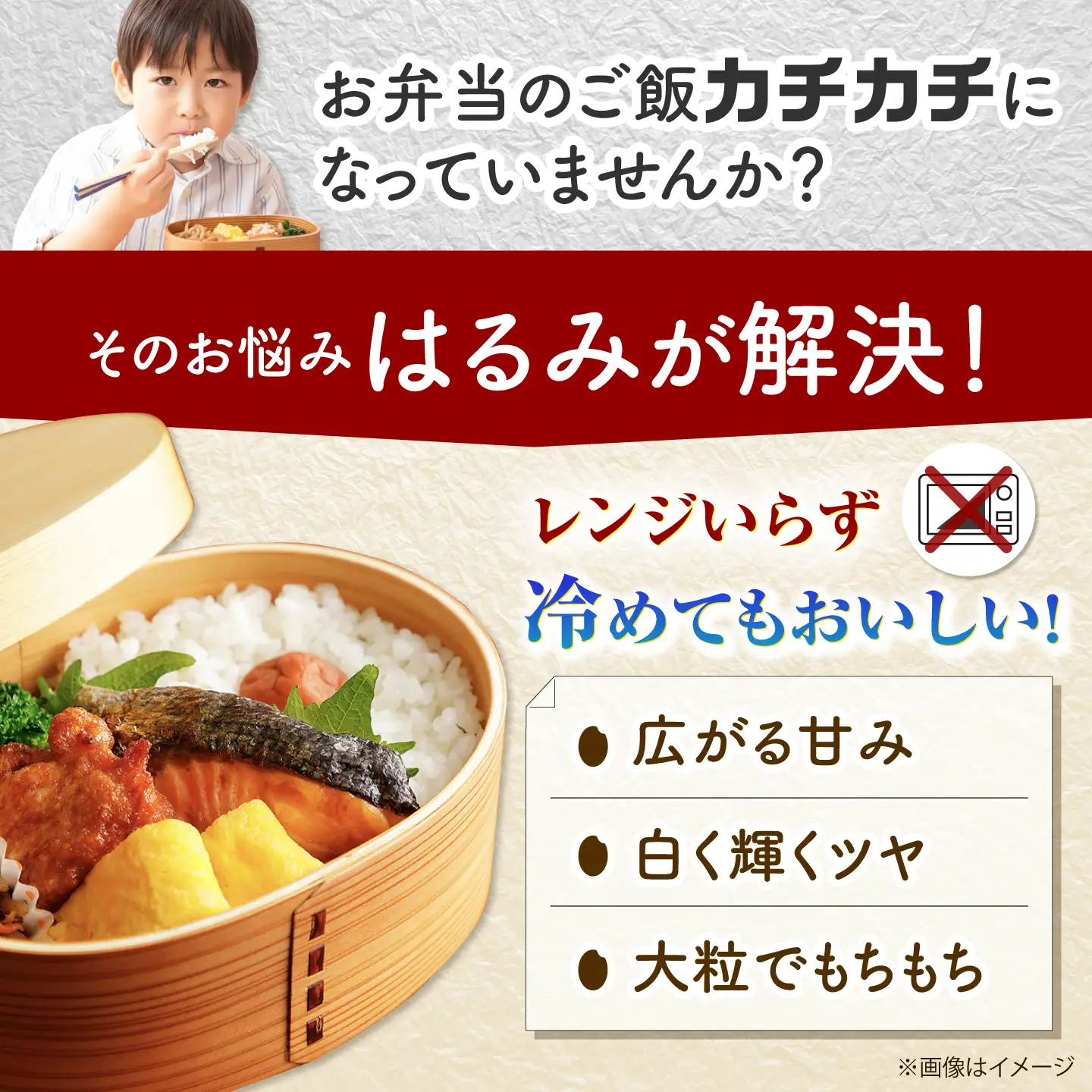 【令和8年産新米予約】【特Aランク受賞実績あり！】はるみ 5kg【井上農園】 米 お米 精米 白米 はるみ 新米 令和8年産[BDBB006-1]