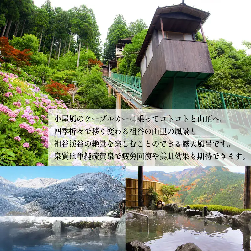 日帰り温泉券 徳島 旅行 ホテルかずら橋 4名様分 徳島県 三好市 【 祖谷 】