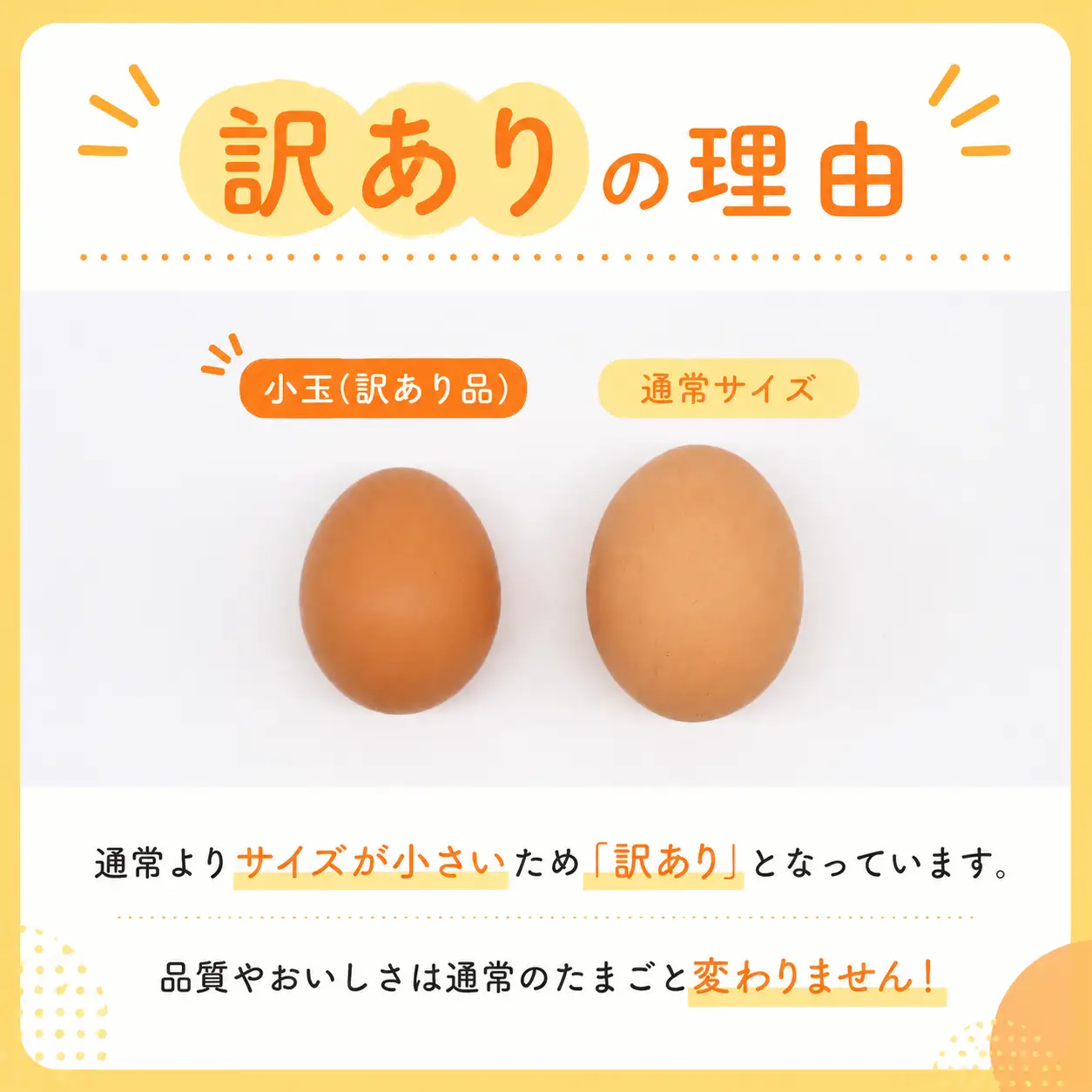 【訳あり】卵 平飼い たまご 20個 | 南国市 たまご