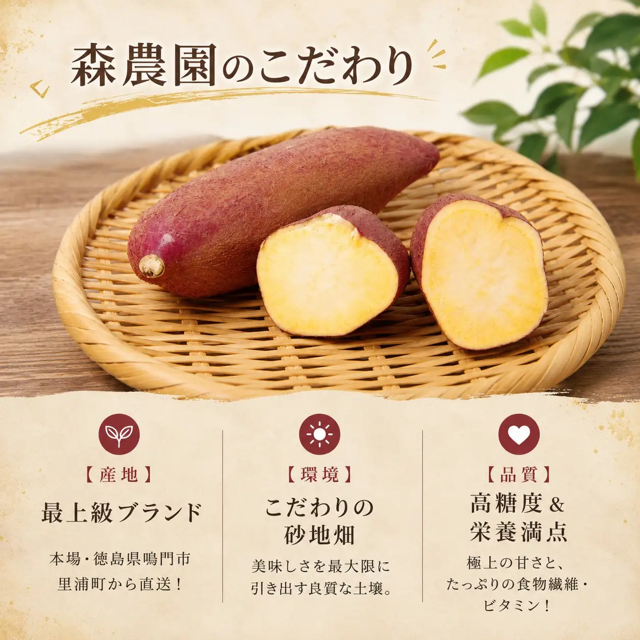 鳴門金時 土付き3kg 【8月中旬発送】 家庭用 S~Mサイズ