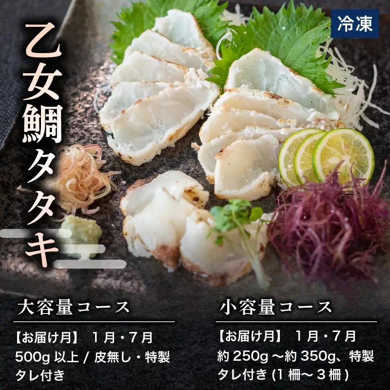 【冷凍】　刺身 定期便 6ヶ月 小容量 コース 小島水産 がお届けする！ 美味しい お刺身 