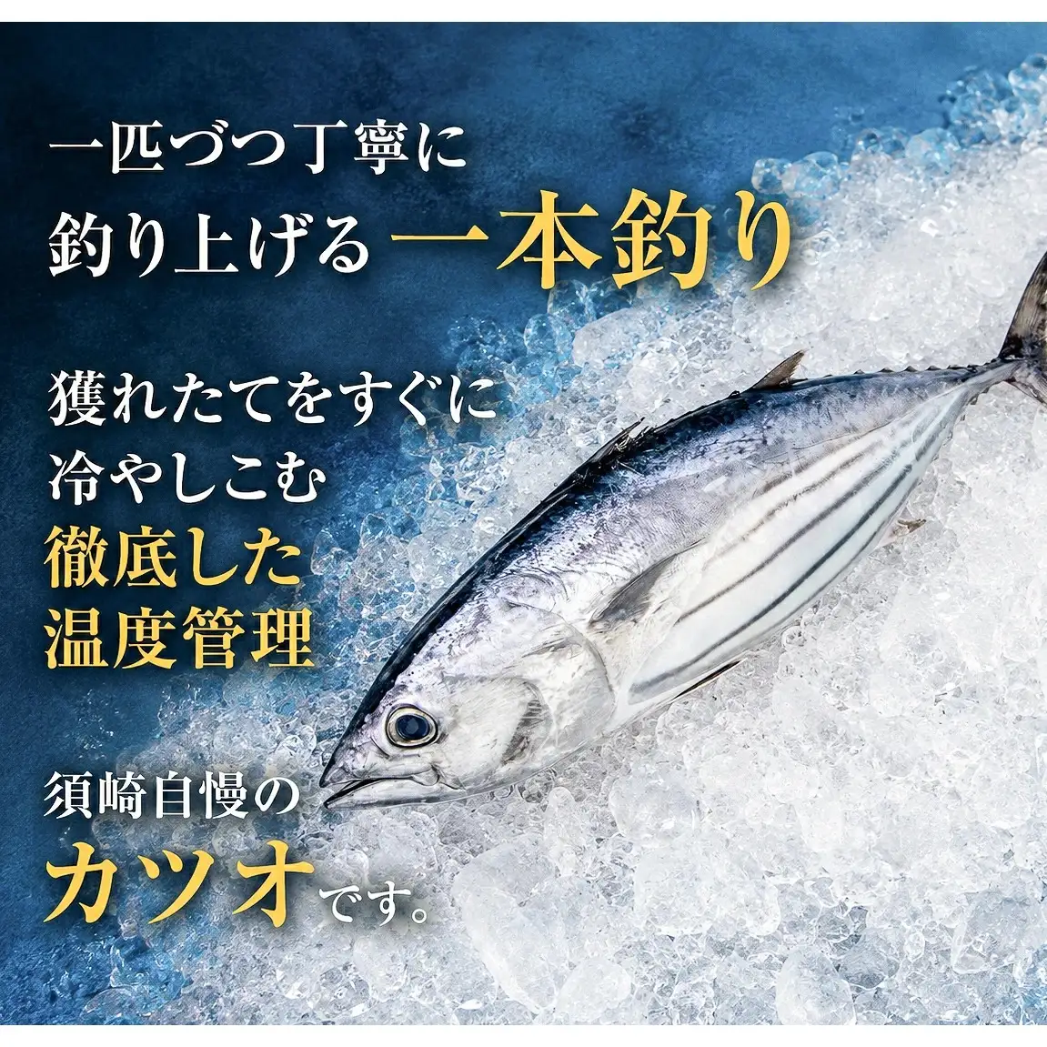 カツオのタタキ 藁焼きカツオ 3kg