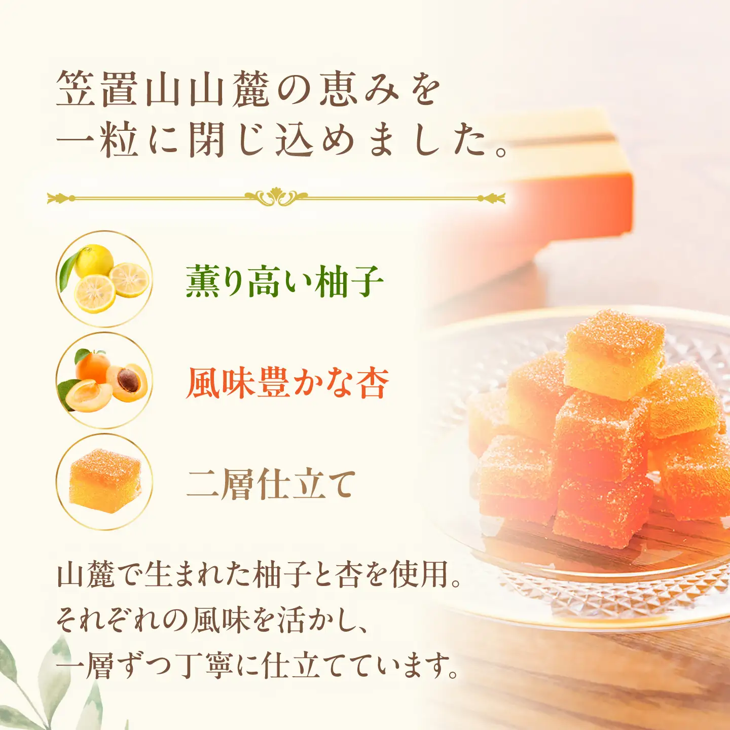 【12月上旬より順次発送】柚子と杏のフリュイ 3箱（1箱18個入り）/ 恵那市 / 恵那寿や[AUAS032]