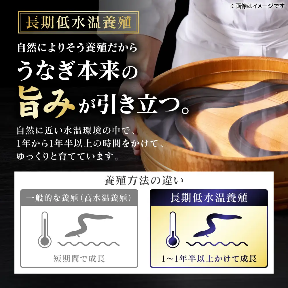 鰻 【先行予約】 うなぎの蒲焼 2尾 （合計350g以上） 【2026年9月中旬より順次発送】 鰻