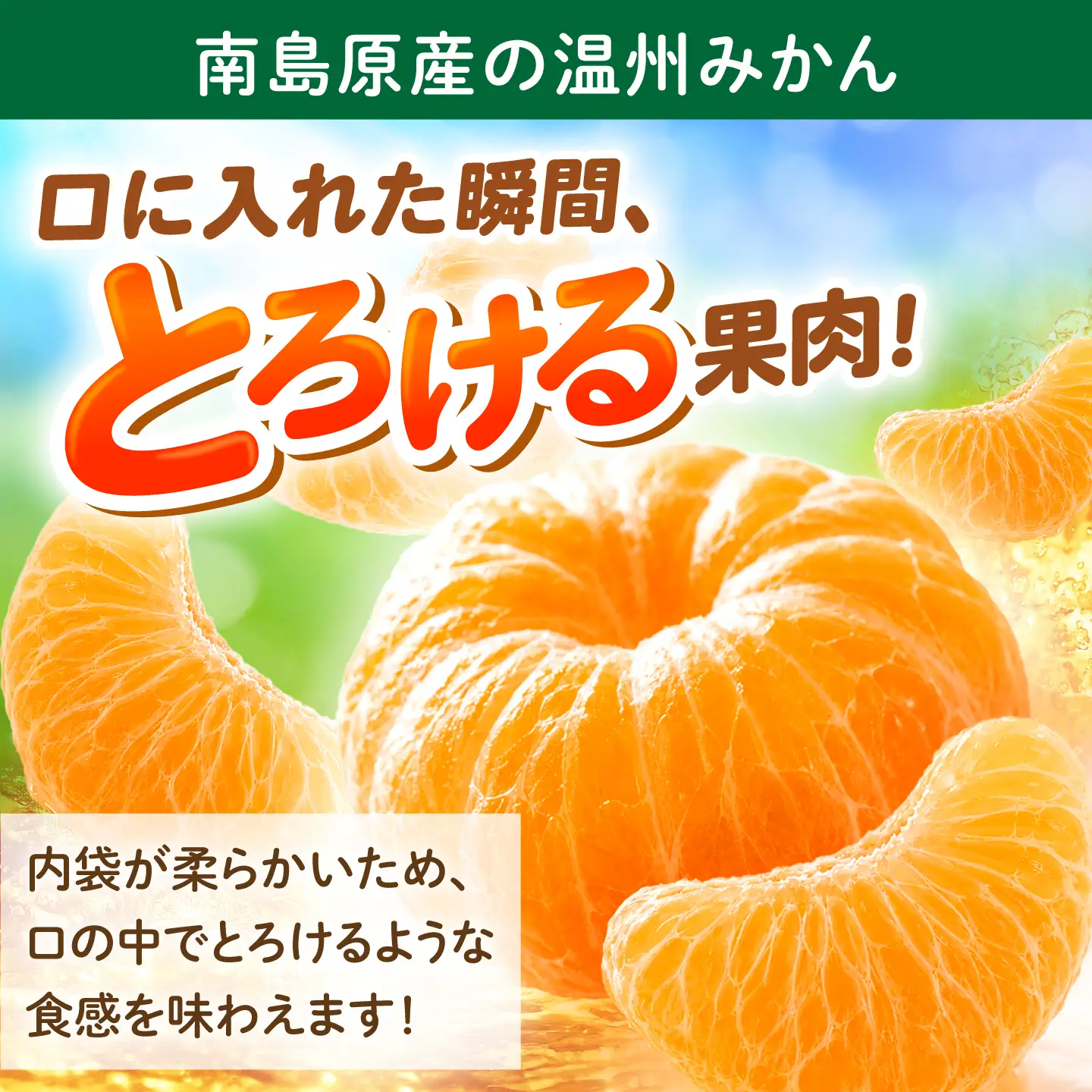 【2026年12月下旬-発送】温州みかん 3kg [SFG003] みかん