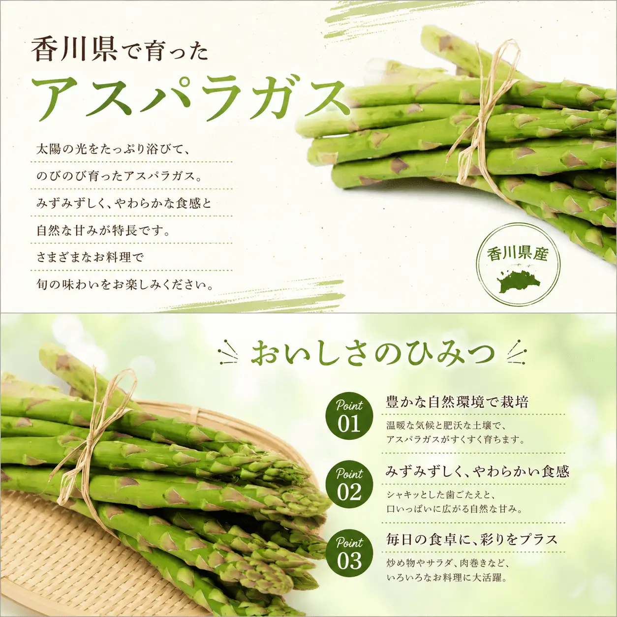 アスパラガス さぬきのめざめ 約1.0kg アスパラガス 