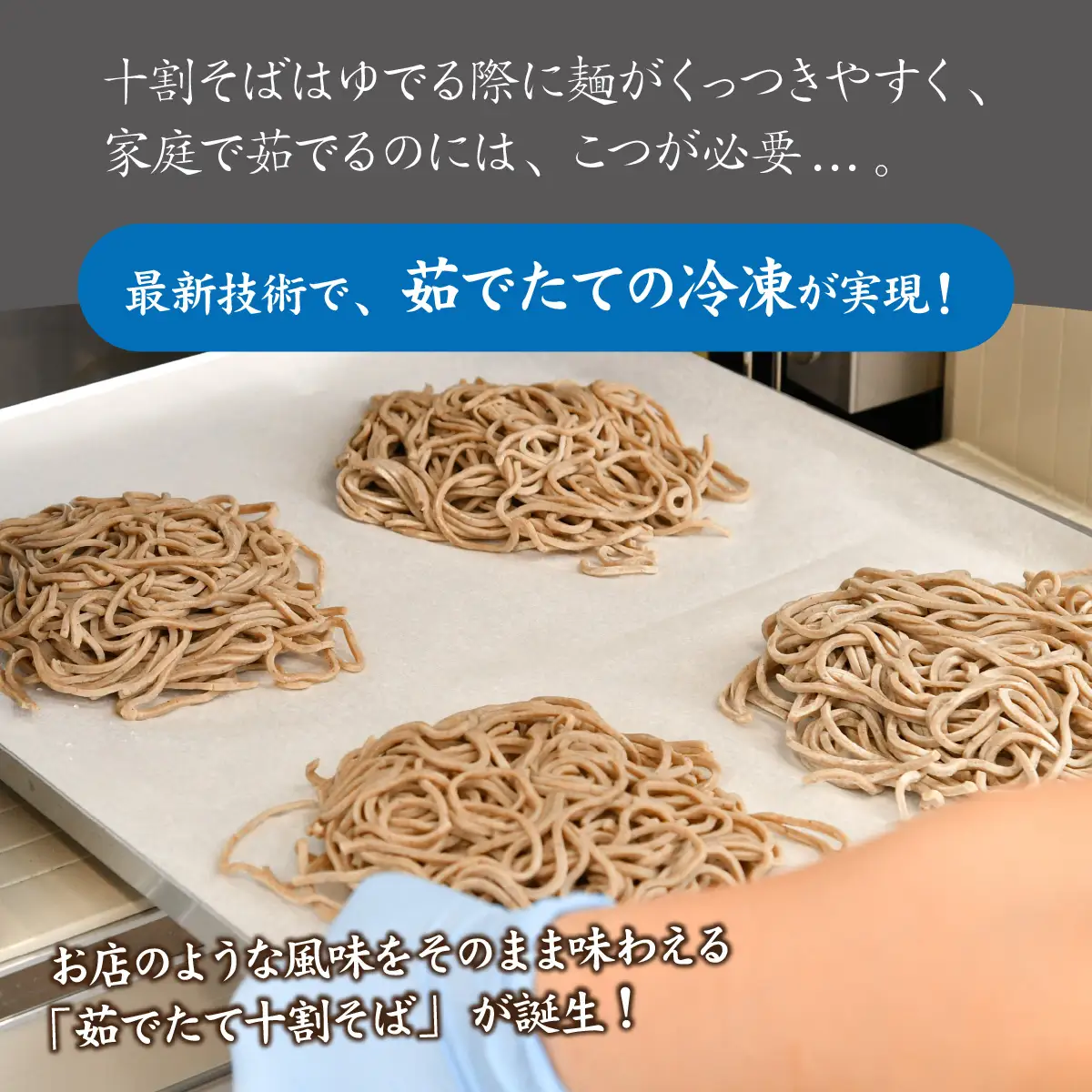 【12ヶ月定期便】相席食堂で放送10.22【流水解凍】永平寺そば極 茹でたて十割そば＜冷凍＞ 4人前  [A-026047] / 蕎麦 そば ソバ 麺 国産 国産原料100%使用 十割そば 10割 年越しそば 小麦粉不使用 お蕎麦 おそば 年越し蕎麦 福井県 永平寺町