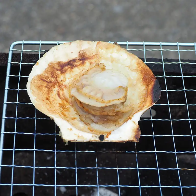 陸奥湾産 冷凍 ホタテ片貝 1kg【平内町漁業協同組合】 F21J-394