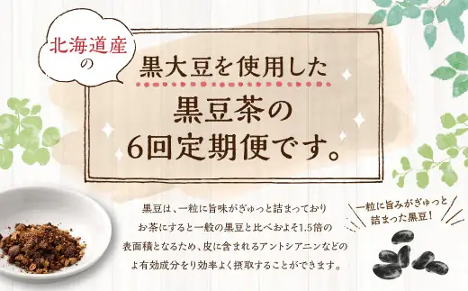 【年6回定期便】国産黒豆茶 計6袋 (1回あたり1袋 :100包入り) お茶 茶 黒豆 飲料 ティーバック