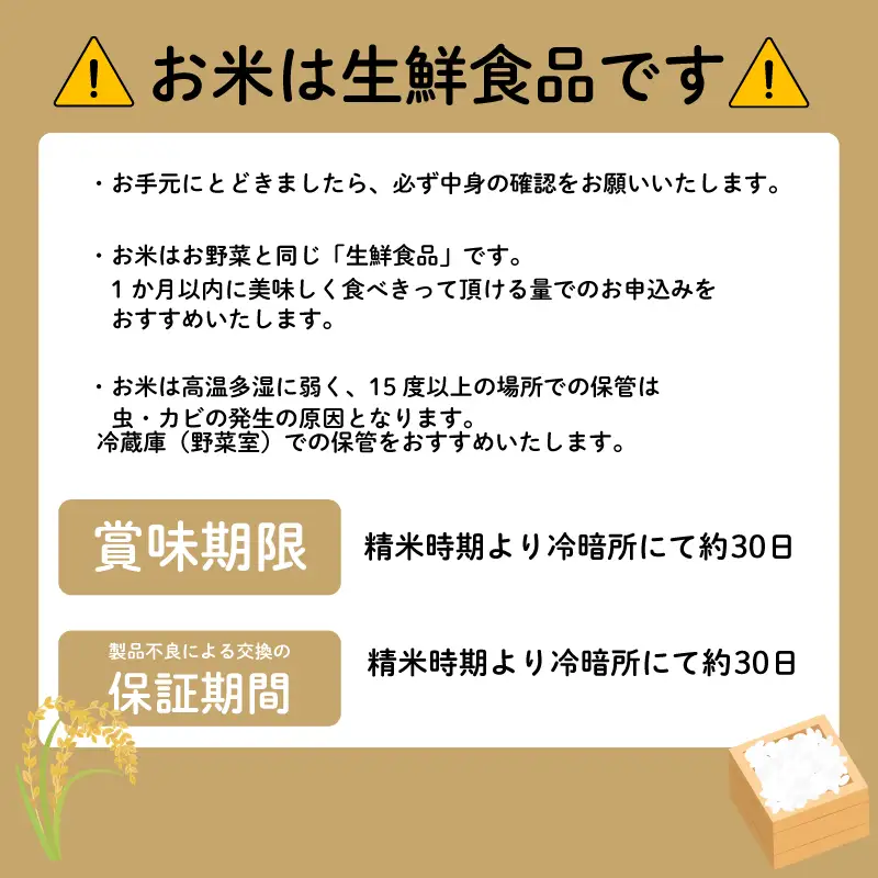 新米 こしひかり 10kg 新米 【令和8年産 先行予約限定】