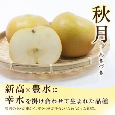 あきづき 梨 3kg 6～10玉 【2026年収穫分】かすみがうら市【配送不可地域：離島・沖縄県】【1757990】