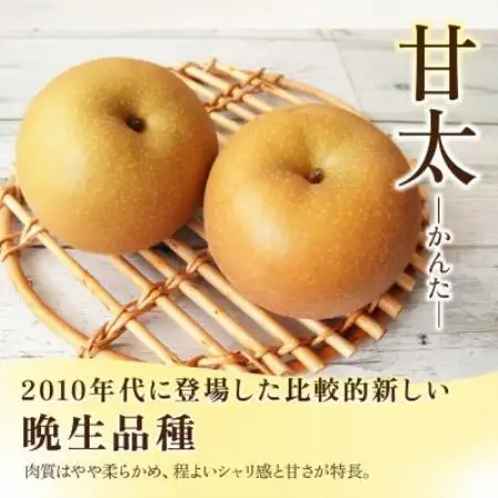 甘太 梨 3kg 6～10玉 【2026年収穫分】かすみがうら市【配送不可地域：離島・沖縄県】【1757991】