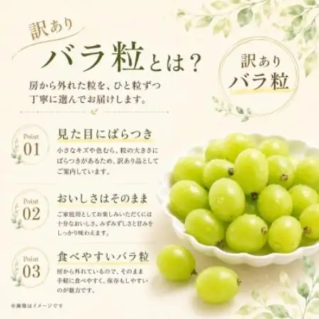 産地直送 訳ありシャインマスカット バラ粒 1kg 【2026年発送】【配送不可地域：離島・沖縄県】【1757996】