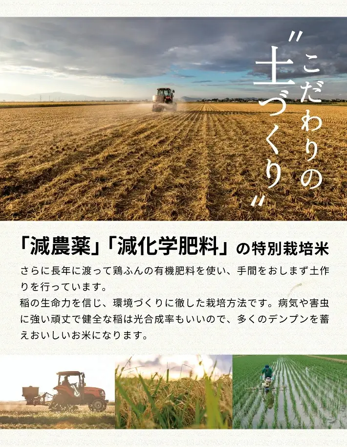 SC0744　12月上旬配送／令和8年産【精米】つや姫マイスターが作った 特別栽培米『雪若丸』10kg(5kg×2袋)［減農薬・減化学肥料］