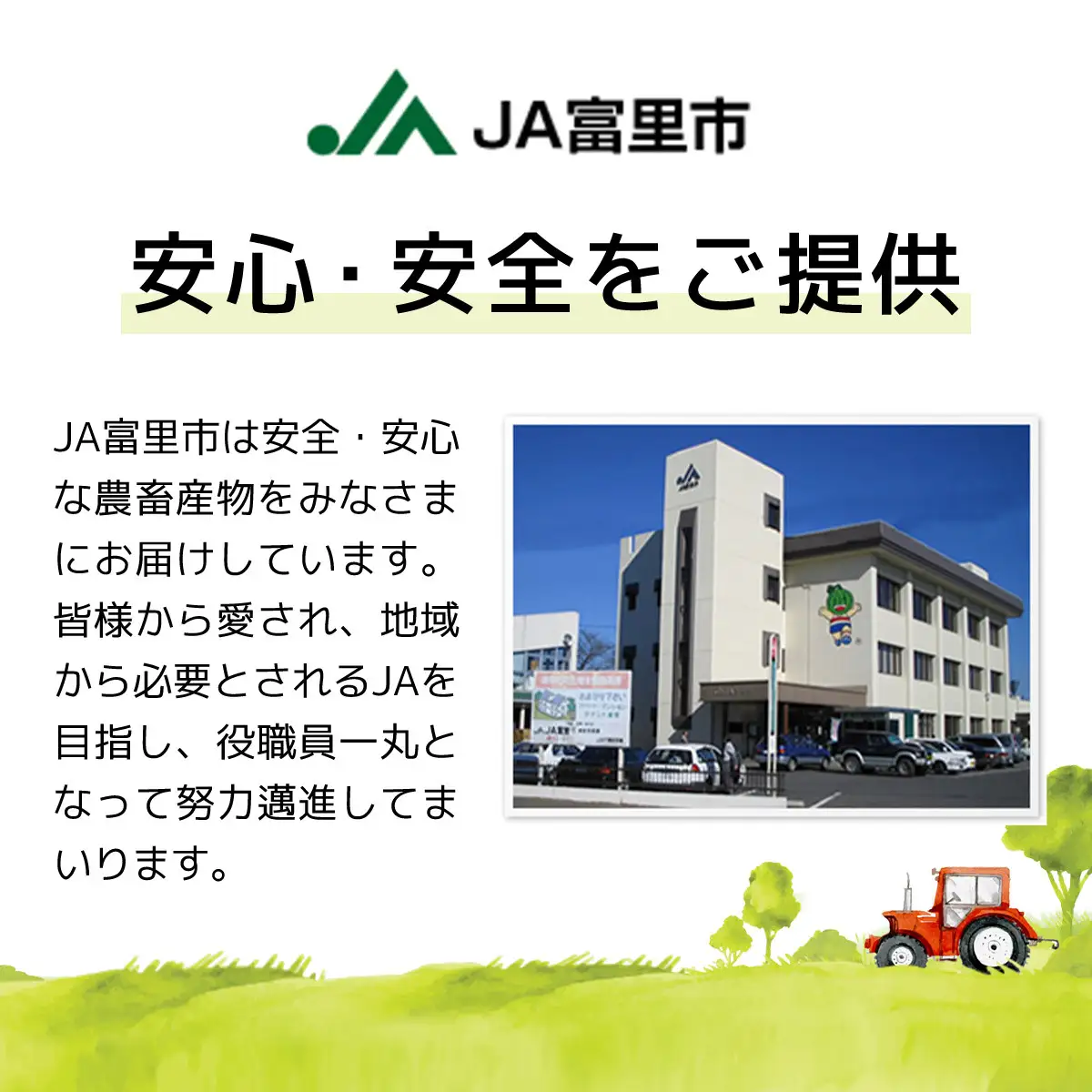 【2026年発送先行予約】【数量・期間限定】旬をお届け！富里市産 梨２L ５㎏（15,16玉）/ なし 梨 秋の味覚 産地直送 甘い 旨味 送料無料 期間限定 数量限定 JA JA富里 農協 ちば 千葉県産とみさと 富里 富里市 TMF009