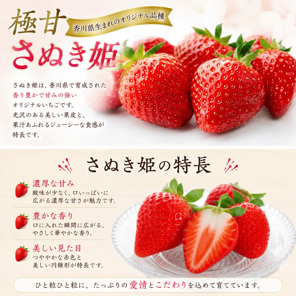 【2月から発送】 いちご 極甘さぬき姫 約250ｇ×2パック いちご
