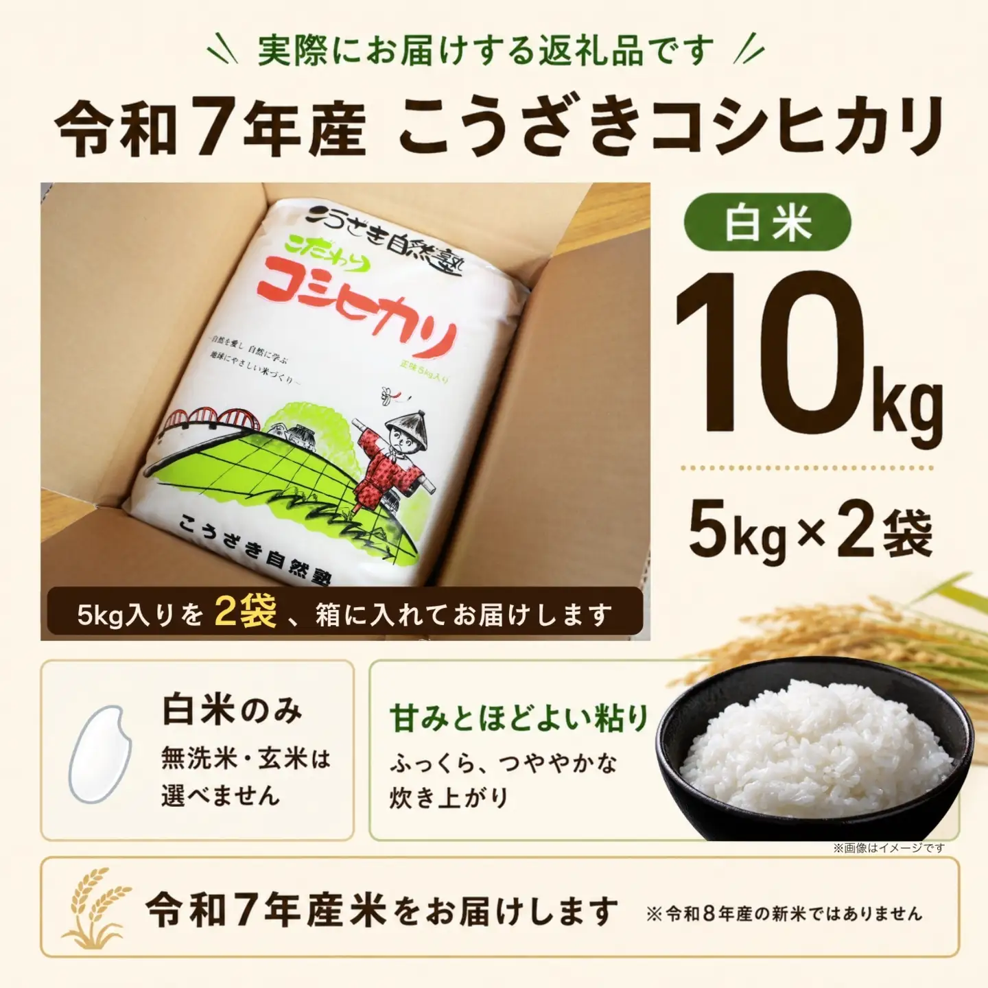 【数量限定】 令和7年産こうざきコシヒカリ10kg 1等米 ちばエコ認証 注文後精米[014-a037]