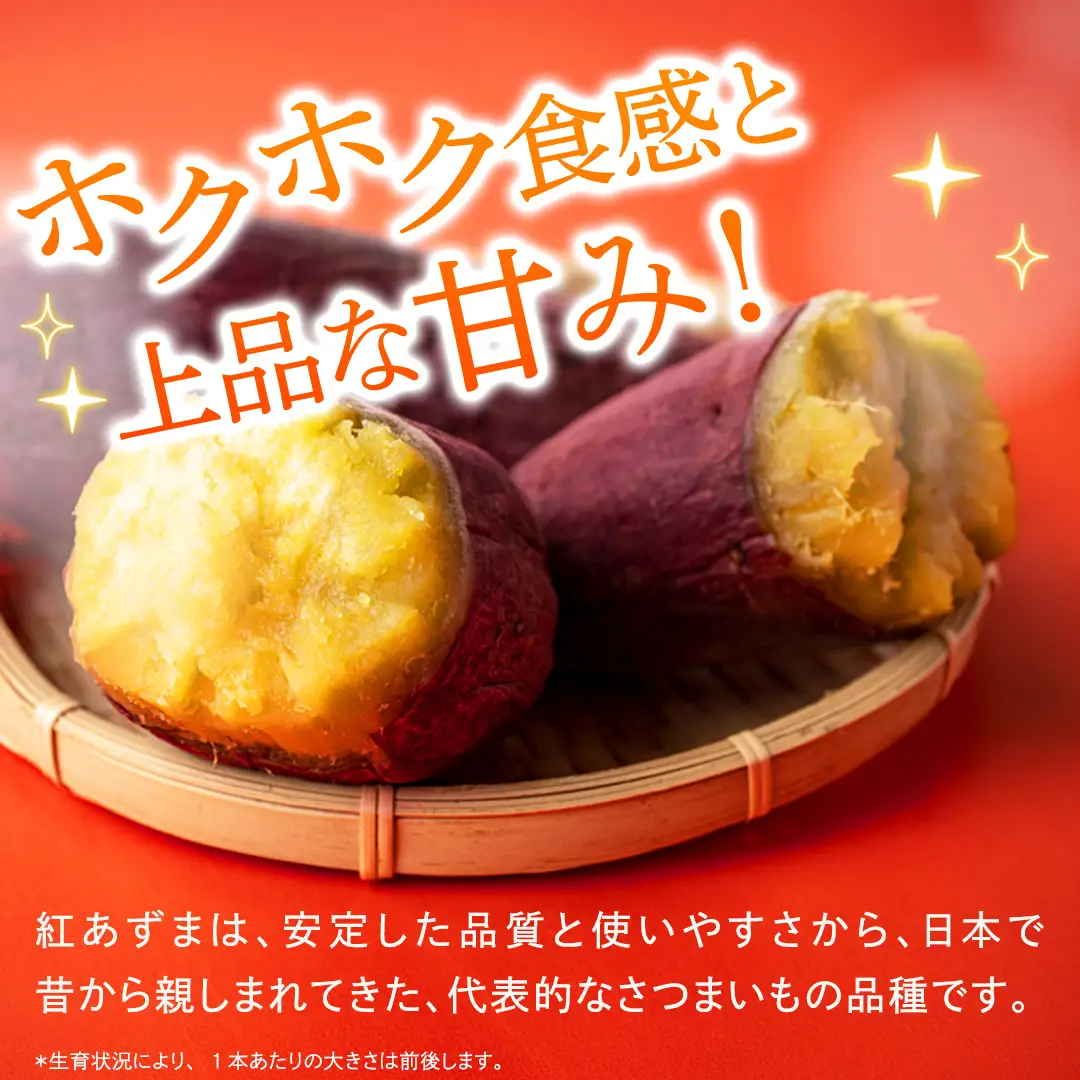 紅あずま 約 2.5kg （3回 定期便 ）（茨城県共通返礼品 [さつまいも]：行方市産）