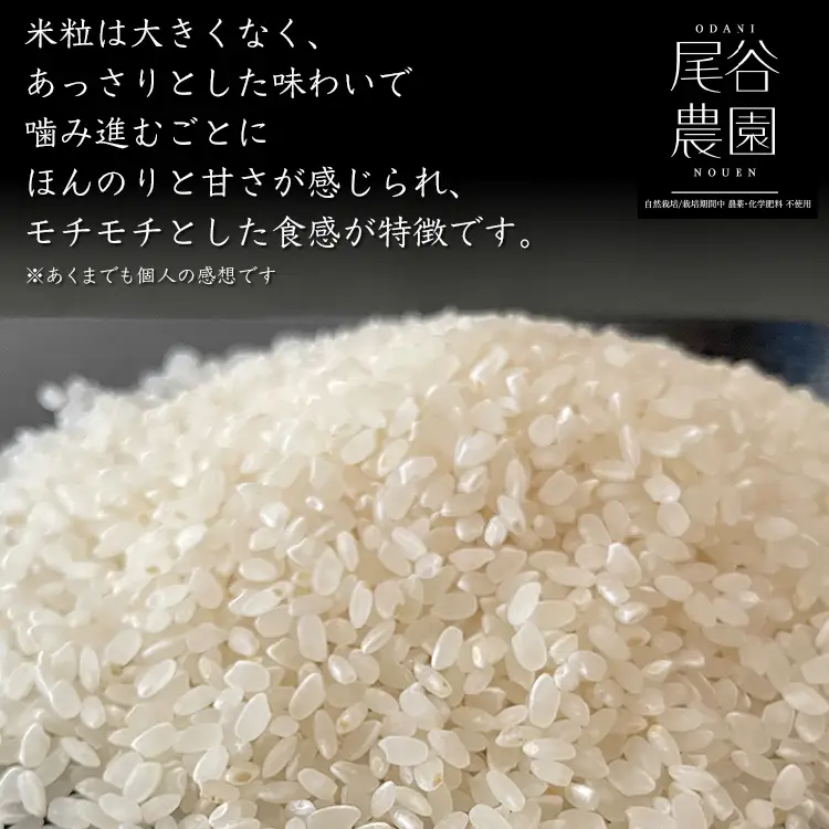 【早期予約】【12ヶ月定期便】【令和8年度産米】尾谷農園 自然栽培米コシヒカリ 精米10kg ※2026年10月～発送