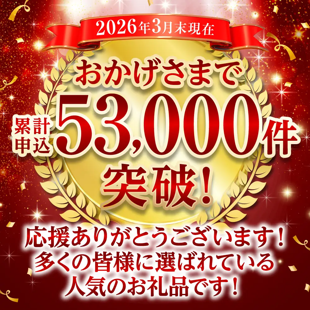 【訳あり】 牛肉 くまもと黒毛和牛 切り落とし 600g（300g×2）【2026年9月発送】 牛肉