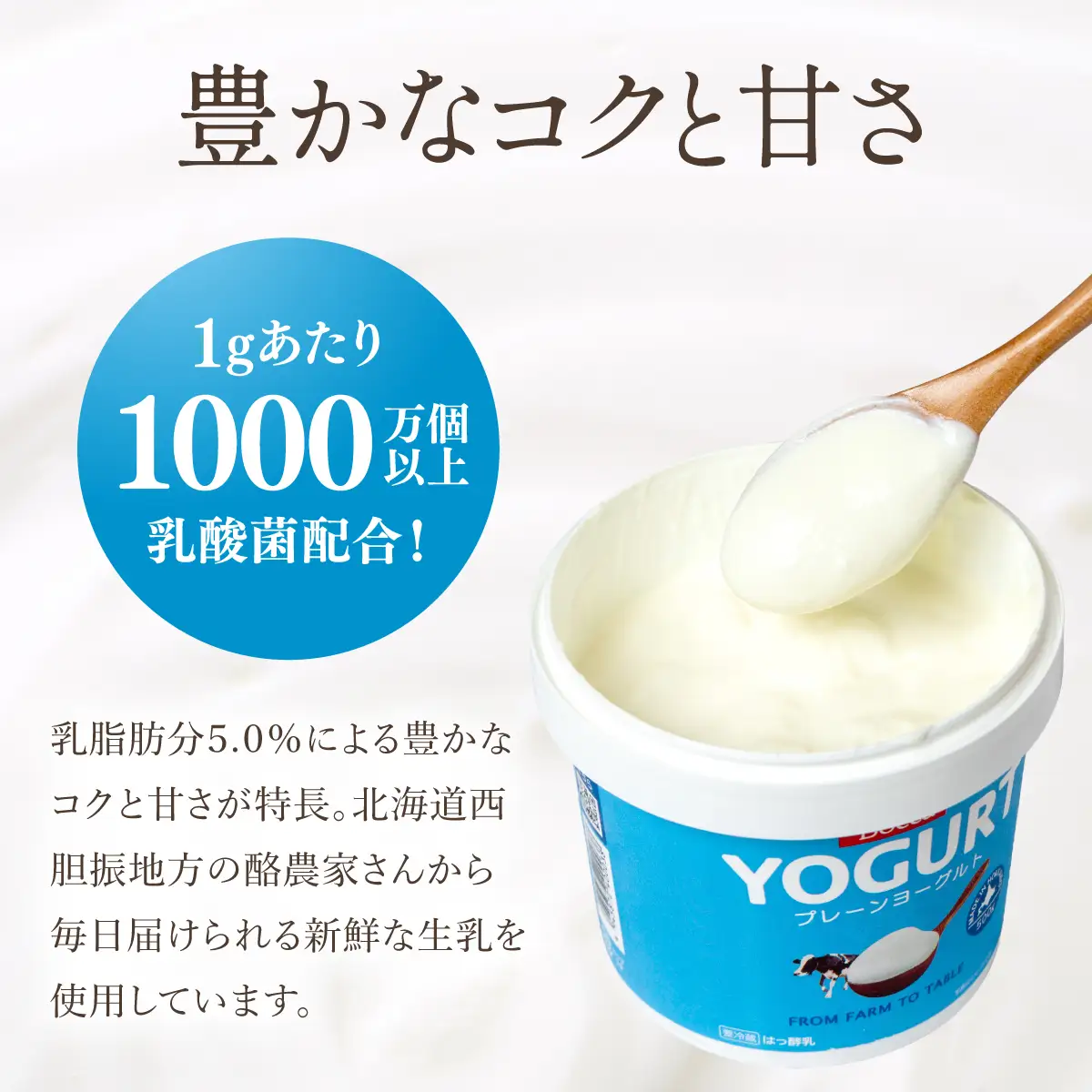 北海道 牧家 Bocca ヨーグルト 1000g 6個 計6.0kg【bca-003】